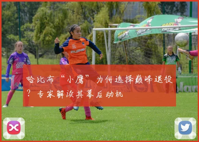 哈比布“小鹰”为何选择巅峰退役？专家解读其幕后动机