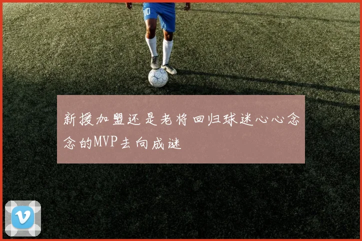 新援加盟还是老将回归球迷心心念念的MVP去向成谜