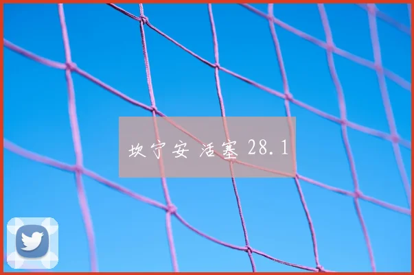 坎宁安 活塞 28.1