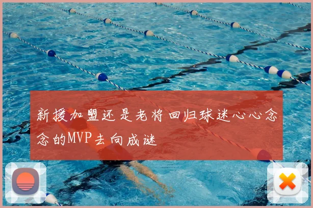 新援加盟还是老将回归球迷心心念念的MVP去向成谜